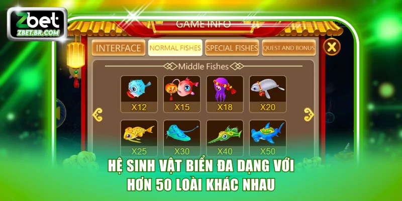 Hệ sinh vật biển đa dạng với hơn 50 loài khác nhau